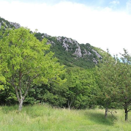Villa Nona Tamara With Astonishing Sea & Mountains View Bribir  Exterior foto